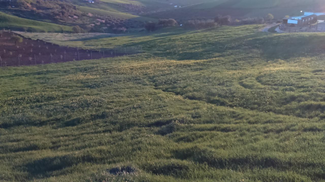 Relente ξενώνας Casabermeja Εξωτερικό φωτογραφία